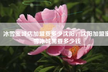 冰雪蜜城店加盟费多少沈阳，沈阳加盟蜜雪冰城需要多少钱