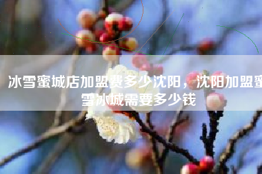 冰雪蜜城店加盟费多少沈阳，沈阳加盟蜜雪冰城需要多少钱