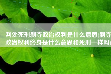 判处死刑剥夺政治权利是什么意思(剥夺政治权利终身是什么意思和死刑一样吗)