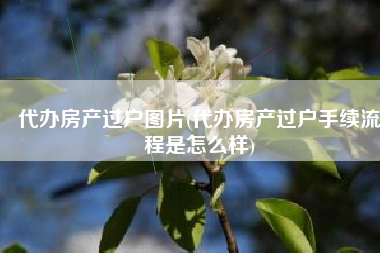 代办房产过户图片(代办房产过户手续流程是怎么样)