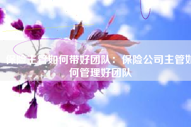 保险主管如何带好团队：保险公司主管如何管理好团队