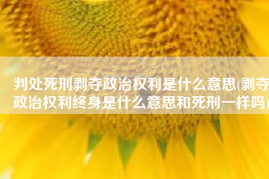 判处死刑剥夺政治权利是什么意思(剥夺政治权利终身是什么意思和死刑一样吗)