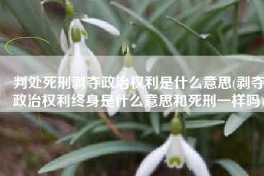 判处死刑剥夺政治权利是什么意思(剥夺政治权利终身是什么意思和死刑一样吗)