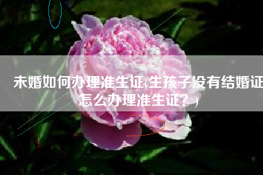 未婚如何办理准生证(生孩子没有结婚证怎么办理准生证？)