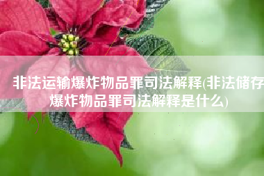 非法运输爆炸物品罪司法解释(非法储存爆炸物品罪司法解释是什么)