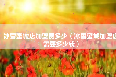 冰雪蜜城店加盟费多少（冰雪蜜城加盟店需要多少钱）