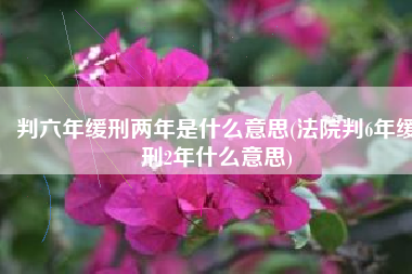 判六年缓刑两年是什么意思(法院判6年缓刑2年什么意思)