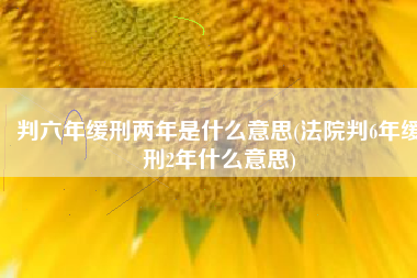 判六年缓刑两年是什么意思(法院判6年缓刑2年什么意思)