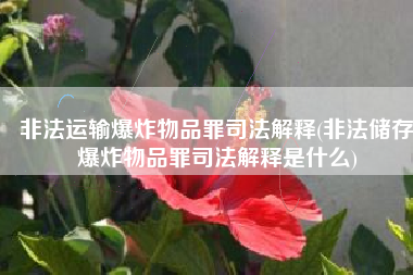 非法运输爆炸物品罪司法解释(非法储存爆炸物品罪司法解释是什么)