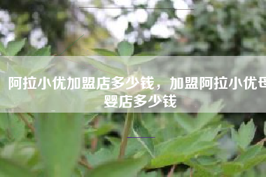 阿拉小优加盟店多少钱，加盟阿拉小优母婴店多少钱