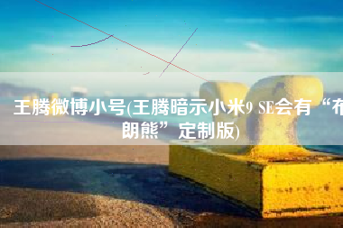 王腾微博小号(王腾暗示小米9 SE会有“布朗熊”定制版)