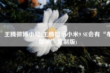 王腾微博小号(王腾暗示小米9 SE会有“布朗熊”定制版)
