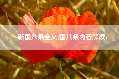 新国八条全文(国八条内容解读)