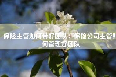 保险主管如何带好团队：保险公司主管如何管理好团队