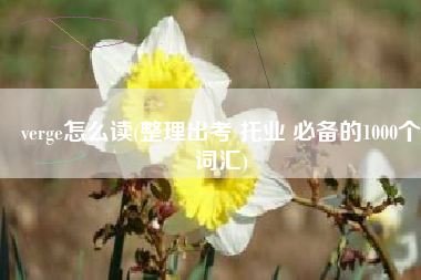 verge怎么读(整理出考 托业 必备的1000个词汇)
