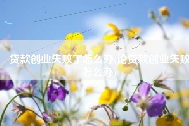 贷款创业失败了怎么办(论贷款创业失败怎么办)