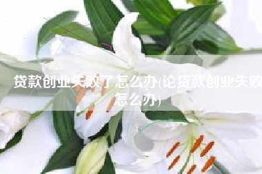 贷款创业失败了怎么办(论贷款创业失败怎么办)