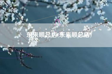 东来顺总店(东来顺总店)