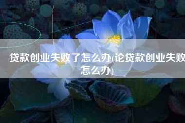 贷款创业失败了怎么办(论贷款创业失败怎么办)