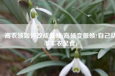 高衣领如何改成低领(高领变低领?自己动手丰衣足食)