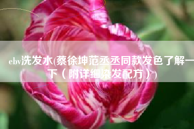 ebv洗发水(蔡徐坤范丞丞同款发色了解一下（附详细染发配方）)