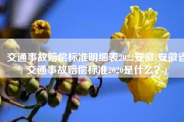交通事故赔偿标准明细表2022安徽(安徽省交通事故赔偿标准2020是什么？)
