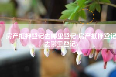 房产抵押登记去哪里登记(房产抵押登记去哪里登记)