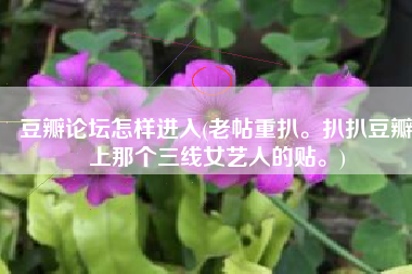豆瓣论坛怎样进入(老帖重扒。扒扒豆瓣上那个三线女艺人的贴。)