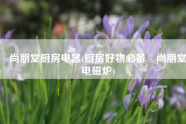 尚朋堂厨房电器(厨房好物必备‖尚朋堂电磁炉)