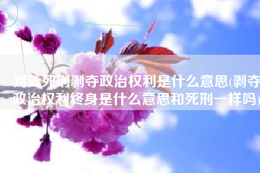 判处死刑剥夺政治权利是什么意思(剥夺政治权利终身是什么意思和死刑一样吗)