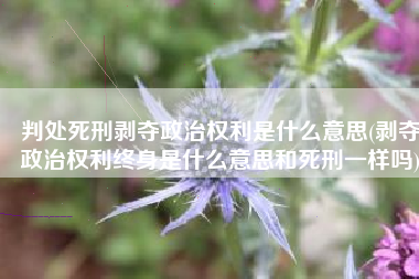 判处死刑剥夺政治权利是什么意思(剥夺政治权利终身是什么意思和死刑一样吗)