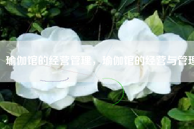 瑜伽馆的经营管理，瑜伽馆的经营与管理