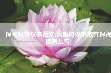 探视权协议书范文(离婚协议书放弃探视权怎么写)