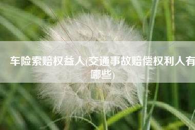 车险索赔权益人(交通事故赔偿权利人有哪些)