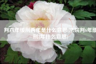 判六年缓刑两年是什么意思(法院判6年缓刑2年什么意思)