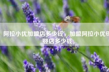 阿拉小优加盟店多少钱，加盟阿拉小优母婴店多少钱