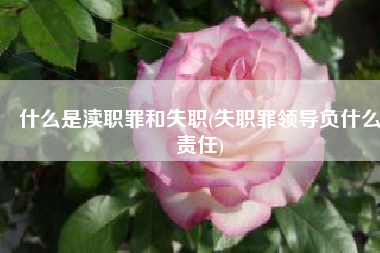 什么是渎职罪和失职(失职罪领导负什么责任)