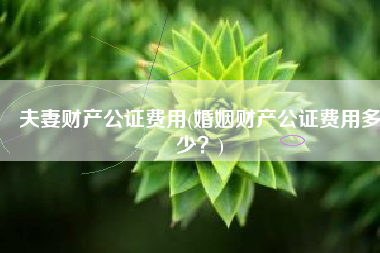夫妻财产公证费用(婚姻财产公证费用多少？)