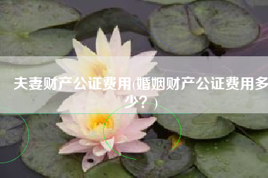 夫妻财产公证费用(婚姻财产公证费用多少？)