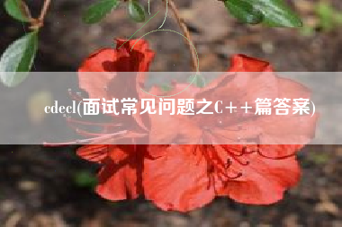 cdecl(面试常见问题之C++篇答案)