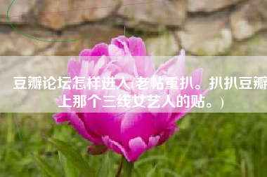 豆瓣论坛怎样进入(老帖重扒。扒扒豆瓣上那个三线女艺人的贴。)