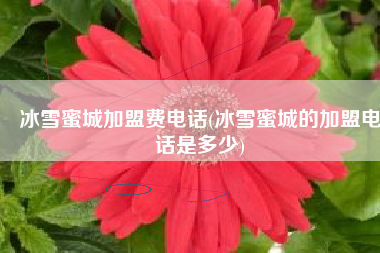 冰雪蜜城加盟费电话(冰雪蜜城的加盟电话是多少)
