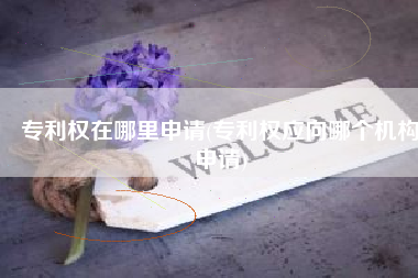 专利权在哪里申请(专利权应向哪个机构申请)