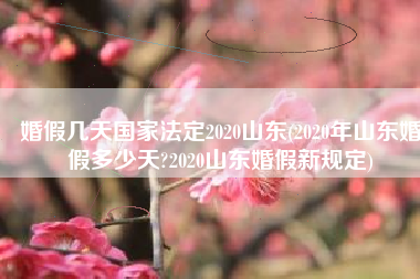 婚假几天国家法定2020山东(2020年山东婚假多少天?2020山东婚假新规定)