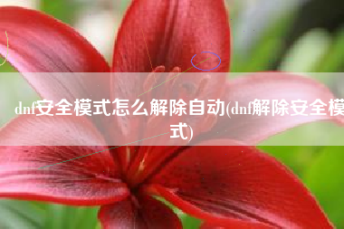 dnf安全模式怎么解除自动(dnf解除安全模式)