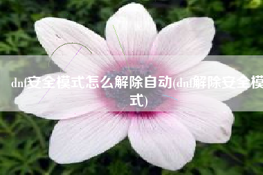 dnf安全模式怎么解除自动(dnf解除安全模式)