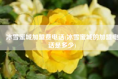 冰雪蜜城加盟费电话(冰雪蜜城的加盟电话是多少)