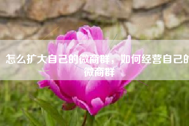 怎么扩大自己的微商群，如何经营自己的微商群