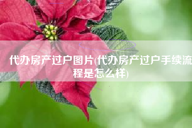 代办房产过户图片(代办房产过户手续流程是怎么样)