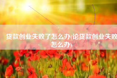 贷款创业失败了怎么办(论贷款创业失败怎么办)